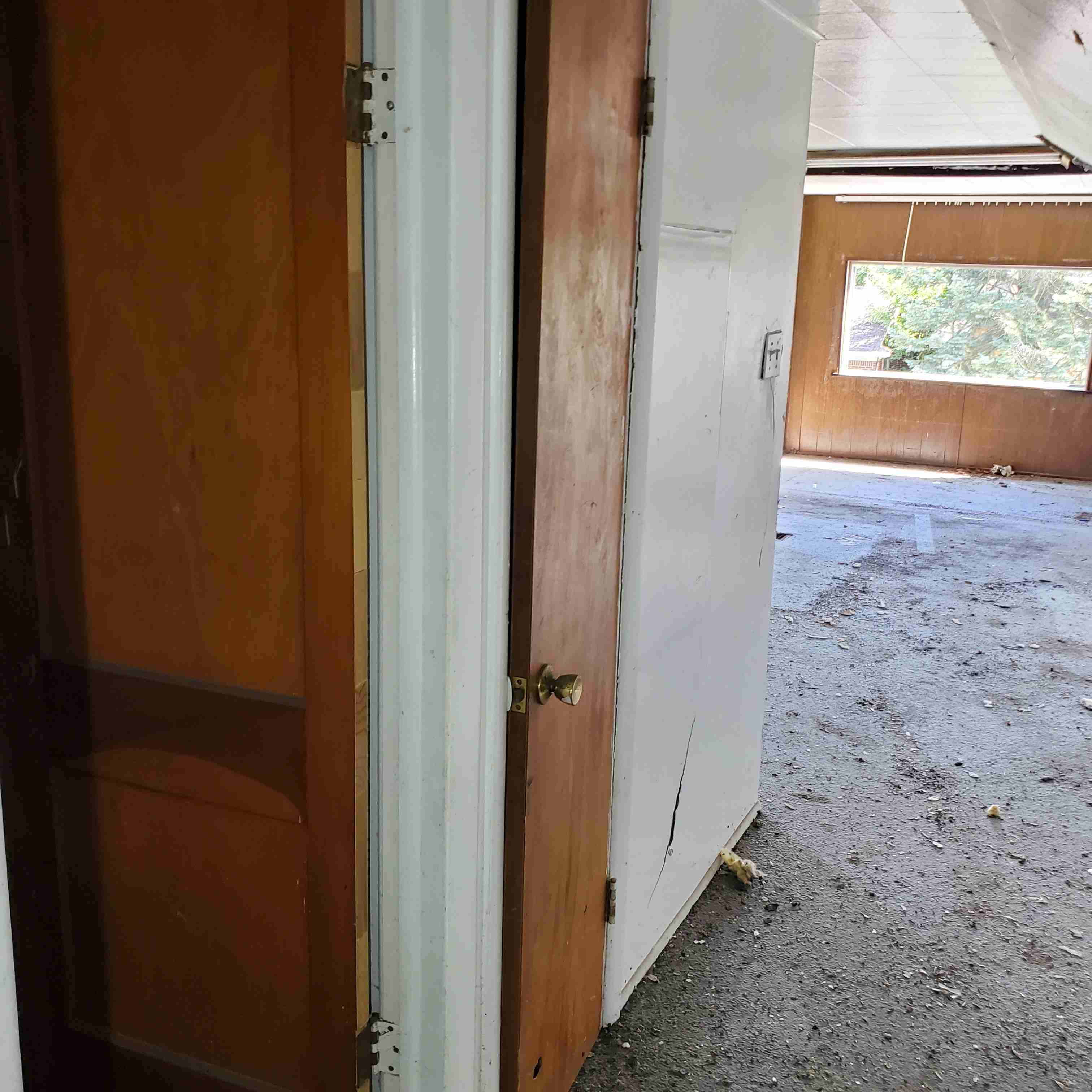 20200812_154331 (2).jpg